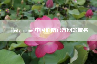 嘉善中国消防官方网站域名