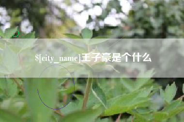 嘉善王子豪是个什么