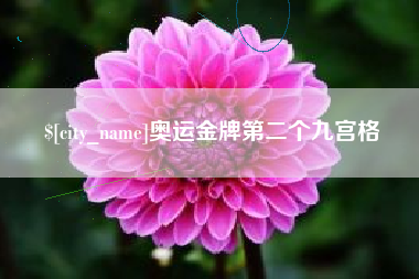 嘉善奥运金牌第二个九宫格