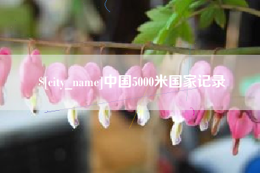 嘉善中国5000米国家记录