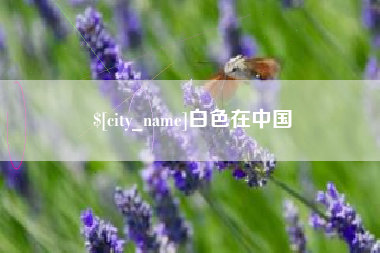 嘉善白色在中国