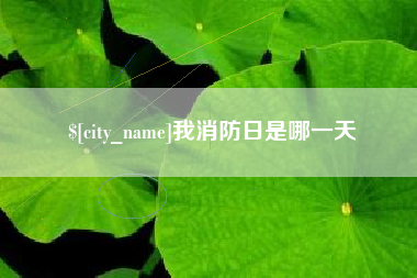 嘉善我消防日是哪一天