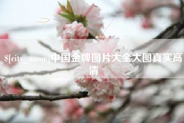 嘉善中国金牌图片大全大图真实高清