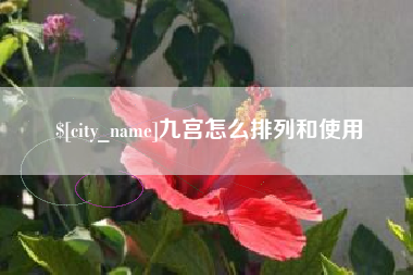 嘉善九宫怎么排列和使用