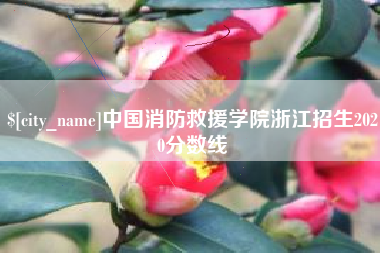 嘉善中国消防救援学院浙江招生2020分数线