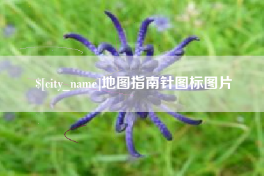 嘉善地图指南针图标图片