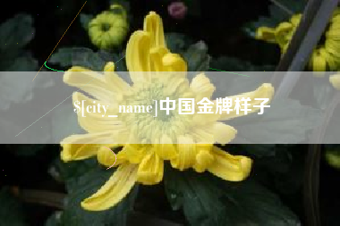 嘉善中国金牌样子