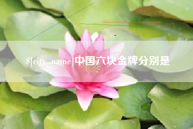 嘉善中国六块金牌分别是