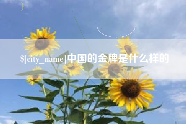 嘉善中国的金牌是什么样的