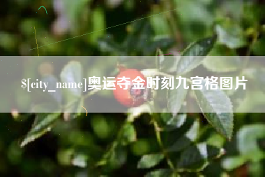嘉善奥运夺金时刻九宫格图片