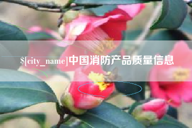 嘉善中国消防产品质量信息
