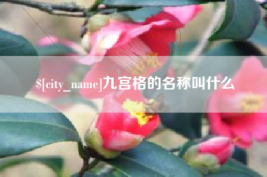 嘉善九宫格的名称叫什么