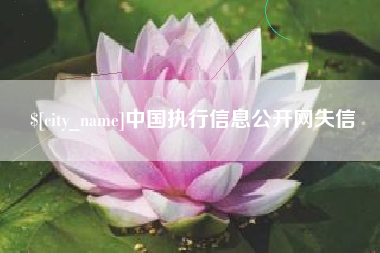 嘉善中国执行信息公开网失信
