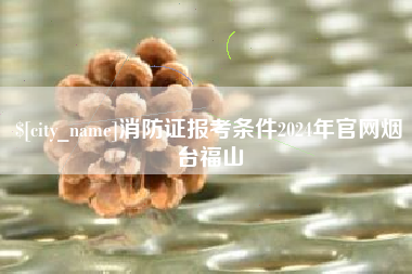 嘉善消防证报考条件2024年官网烟台福山