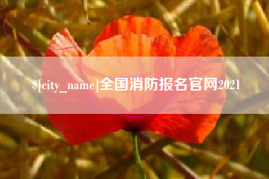 嘉善全国消防报名官网2021