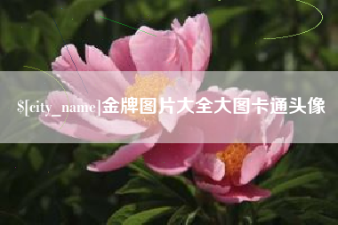 嘉善金牌图片大全大图卡通头像