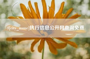嘉善执行信息公开网查询免费