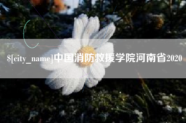 嘉善中国消防救援学院河南省2020